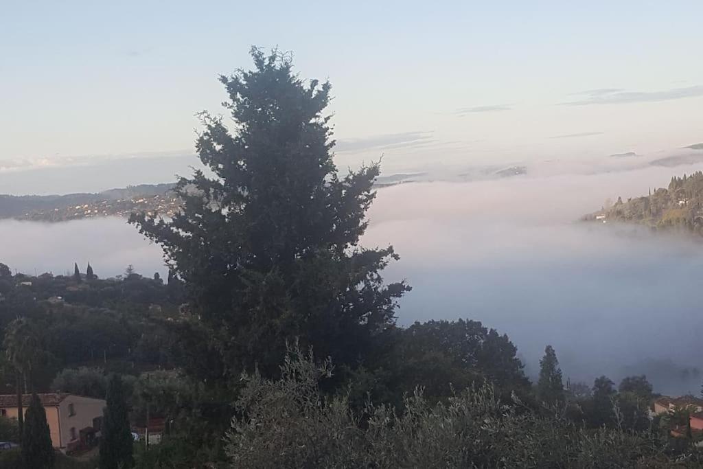Apartmán De 1 A 6 Avec Terrasse Solarium, Vue Panoramique Et Parking Gratuit Grasse Exteriér fotografie